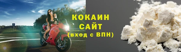 прущие грибы Абинск