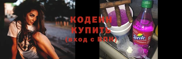 прущие грибы Абинск