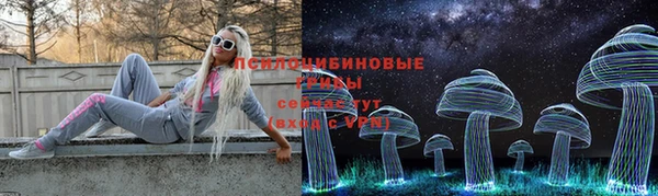 прущие грибы Абинск