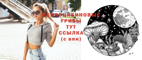 шишки Алексин
