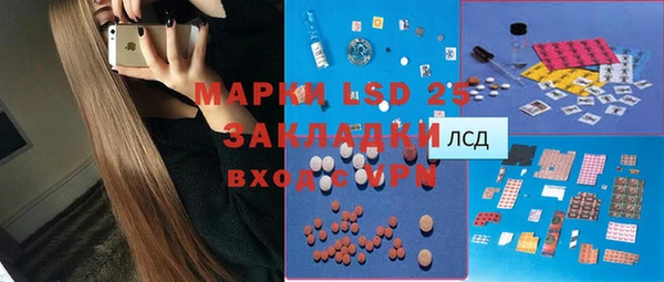 прущие грибы Абинск