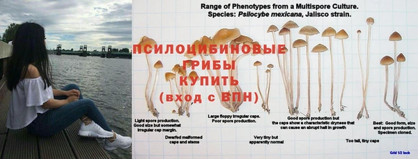 кристаллы Абаза