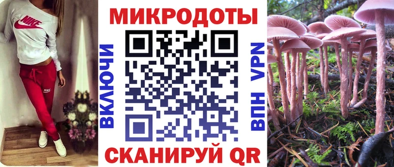 где можно купить наркотик  Черноголовка  Псилоцибиновые грибы мицелий 